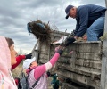 Ветераны КМ приводят в порядок старое христианское кладбище