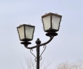 Уличное освещение в Житикаре. Когда перейдем на 