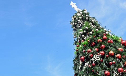 1 января на площади Житикары пройдут массовые гуляния