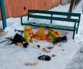 Житикаринцы жалуются: мусор прямо у скамейки во дворе 6 микрорайона
