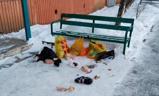 Житикаринцы жалуются: мусор прямо у скамейки во дворе 6 микрорайона