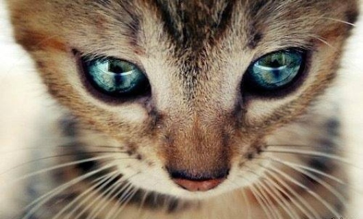 Безответственность  да и только!