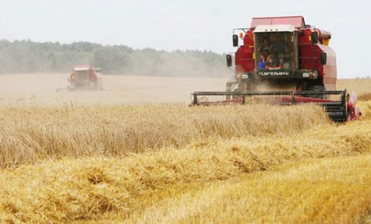 Мамандар егіннің жақсы болуына уәде береді