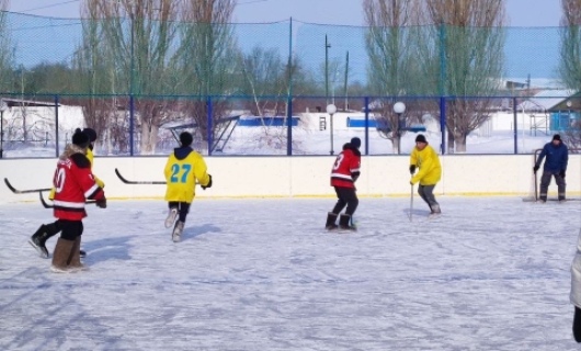 Житикаринская хоккейная забава