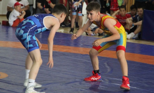 Более 350 спортсменов приняли участие в турнире по вольной борьбе