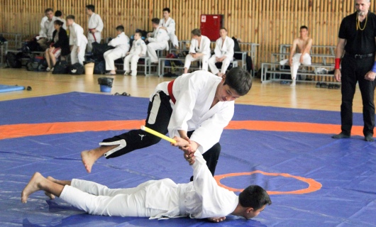 Ежегодный турнир, проводимый в канун памятной даты…