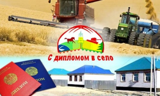 Всё о программе …