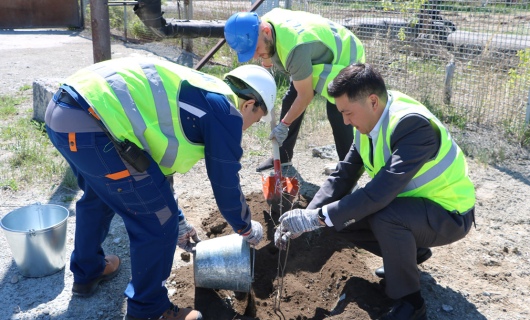 Экопрограмма –  в действии