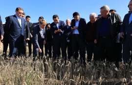 Какую поддержку получат аграрии Костанайской области – сообщил Айдарбек Сапаров