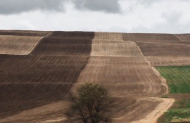 Неиспользуемые земли, возвращённые государству, будут выделены для нужд сельского хозяйства.