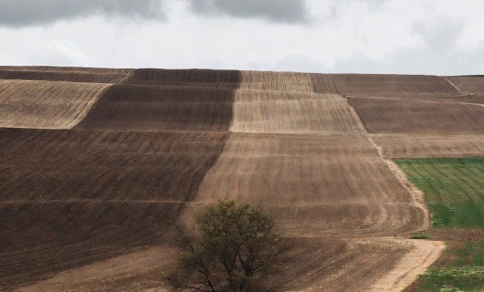 Неиспользуемые земли, возвращённые государству, будут выделены для нужд сельского хозяйства.